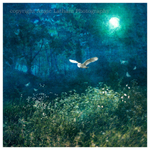 AS011 Midsummer Moonlight