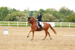 SBM_006311