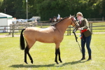SBM_05593