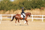 SBM_016809