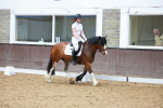 SBM_008499