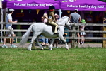 SBM_06422
