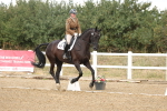 SBM_010436