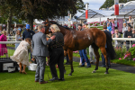 260823-Race 5-Summerghand-1210