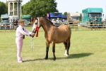 SBM_02161