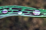 DSC00715