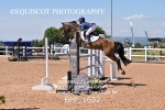 BPP_1632