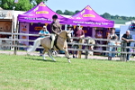 SBM_15337