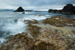 Whitestrand bay (07077136)