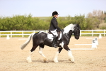 SBM_007516