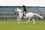SBM_09529