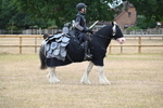 WJ6_8834