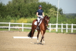 SBM_008036