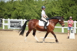 SBM_008795