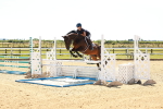 SBM_006628