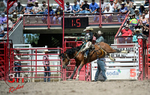 3HRodeo_CFD_JUL_18_2026_03721