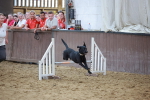 SBM_004330