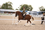 SBM_18195