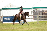 SBM_15747