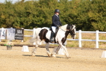SBM_016761