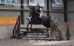 BPP_7628