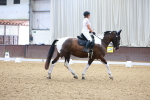 SBM_000266