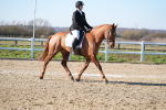 SBM_003343