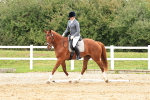 SBM_001337