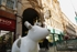 11. Sparky, Cardiff Market