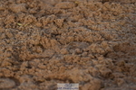 231104A-145746-02231