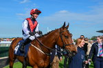 040526-Race 5-Copper Knight-2756