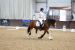 SBM_008517