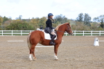 SBM_000995