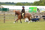SBM_10273