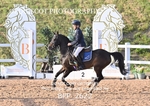 BPP_2622