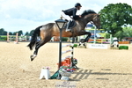 Cls 23 Chard Eq 7Yr Old Champs portfolio