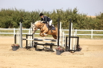 SBM_002951