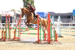 SBM_000557