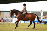 SBM_10859