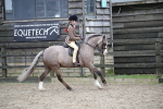 SBM_005991