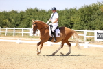 SBM_004901