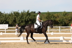 SBM_003897