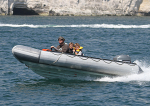 100626 GREY RIB IMG_8059