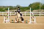 SBM_006237
