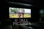 High Quality Home Cinema-40
