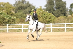 SBM_03309