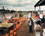 Fruit Stand along the Lincoln Highway, Latrobe, Pennsylvania 1988