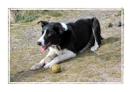 Its My Ball
