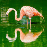 Whipsnade 16Sep24-147