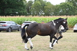 WJ6_6253